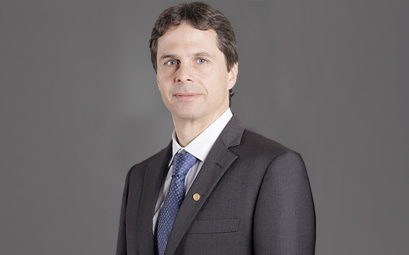 Romero Krause web WP